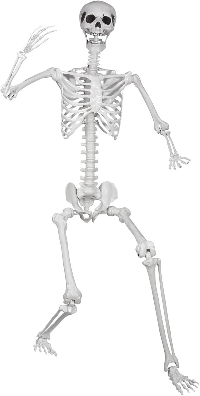 5.9ft/180cm Posable Halloween Skeleton, Life Size Skeleton Bones with Movable Joints for Halloween Graveyard Haunted House Spooky Scene Decor, 1pc