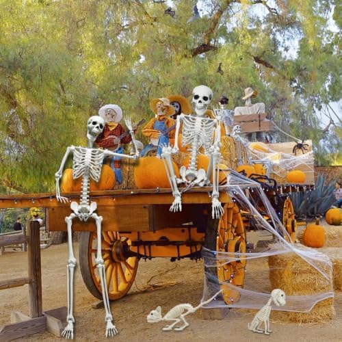 5.4FT Life Size Skeleton with Cat Dog, Plastic Skeleton for Halloween Decor