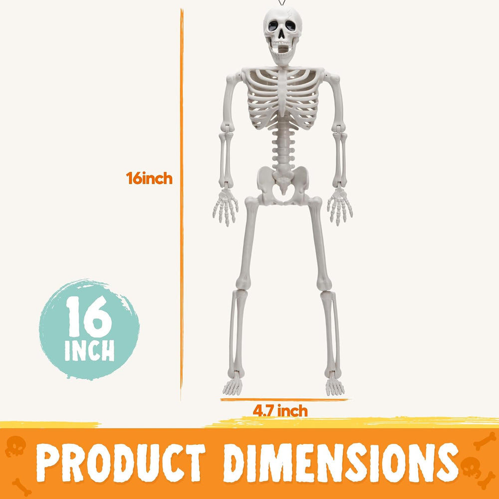 JOYIN 12 PCS 16" Halloween Skeleton Decor, Full Body Movable Stayable Jo...