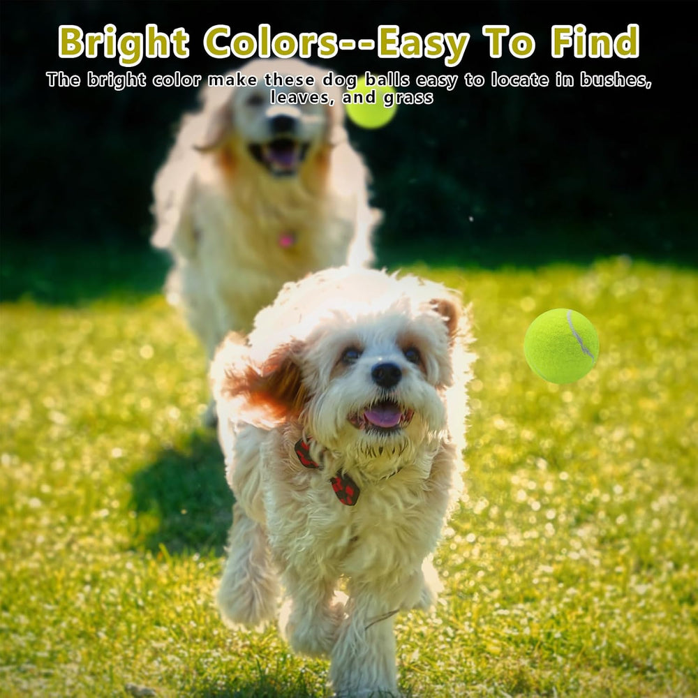 Magicorange Small Tennis Balls, 60 Pack 2 inch Tennis Balls for Dogs
