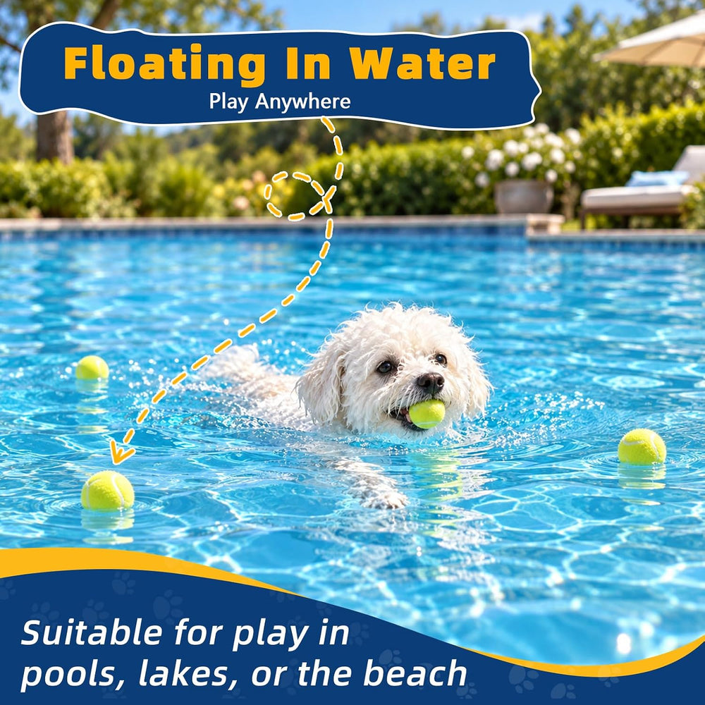 SHYUJAJIE Dog Balls, Tennis Balls for Dogs