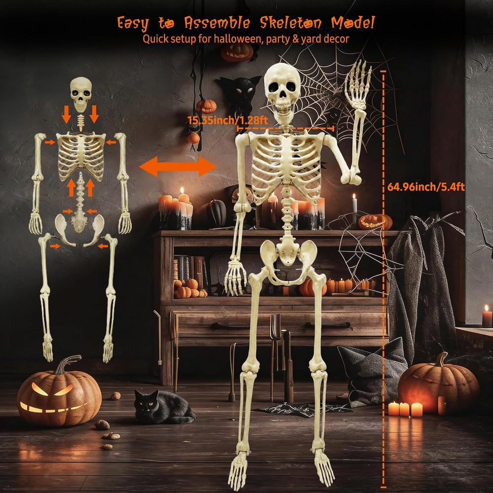 Life Size Skeleton for Halloween: 5.4ft Realistic Human Skeleton