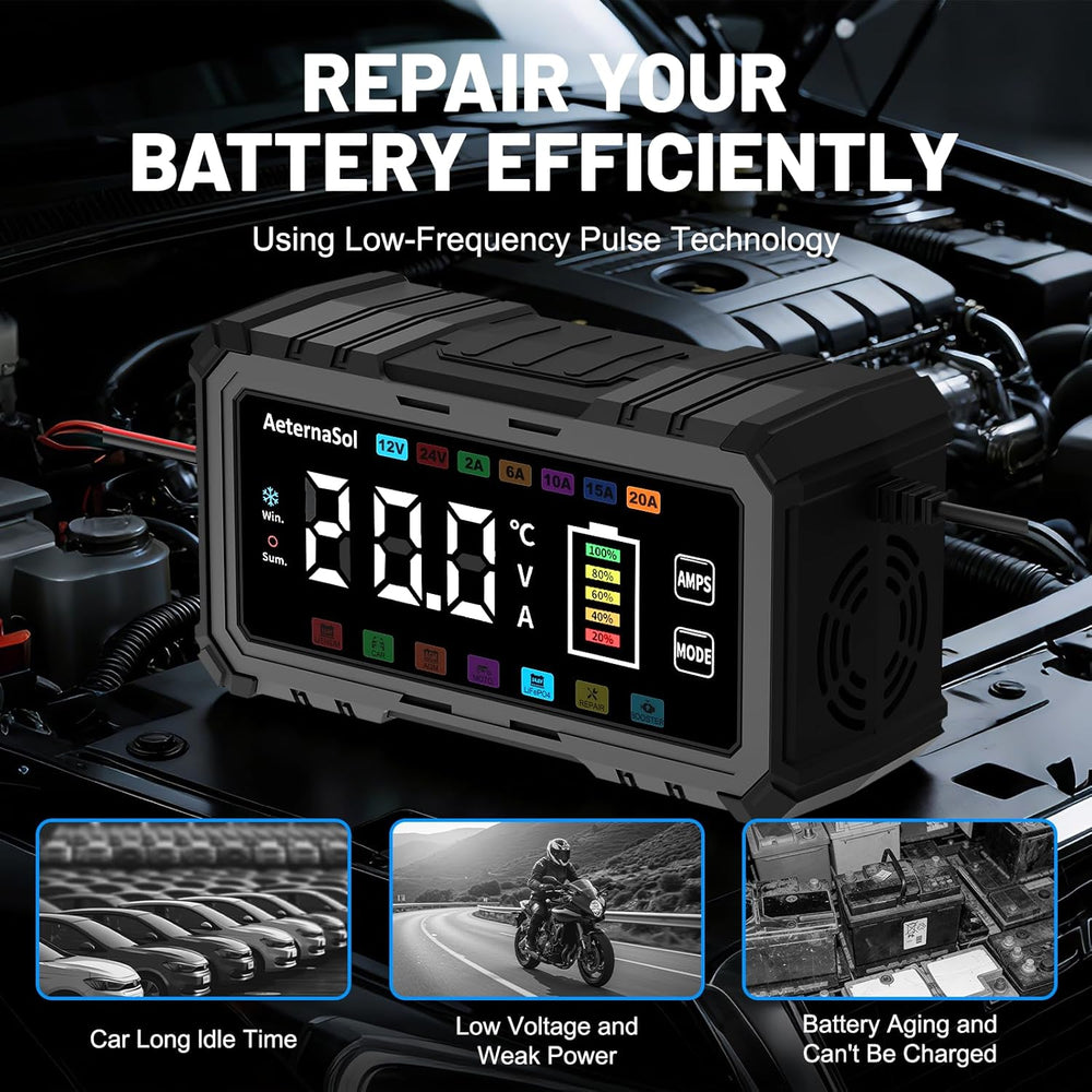 20A Smart Car Battery Charger, 12V/24V Trickle Charger Maintainer (Black)