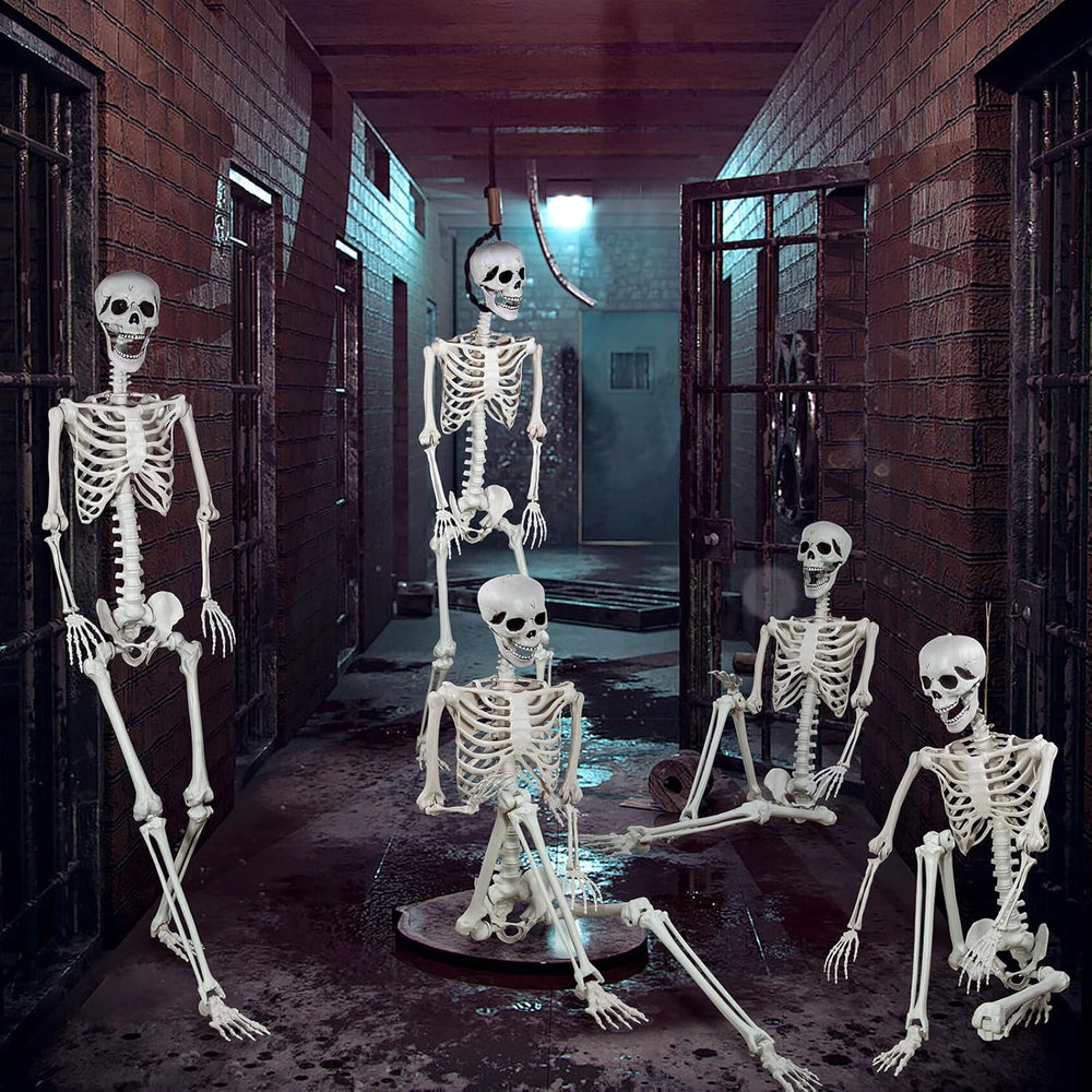 5.9ft Halloween Life Size Skeleton Realistic Full Body Skeletons Plastic Huma...