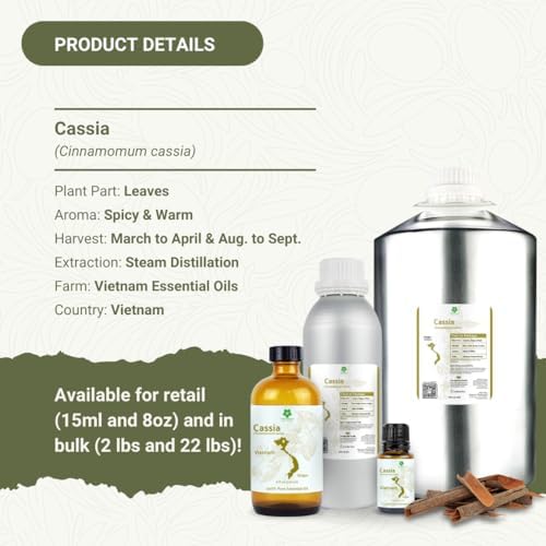 cassia essential oil, front angle view