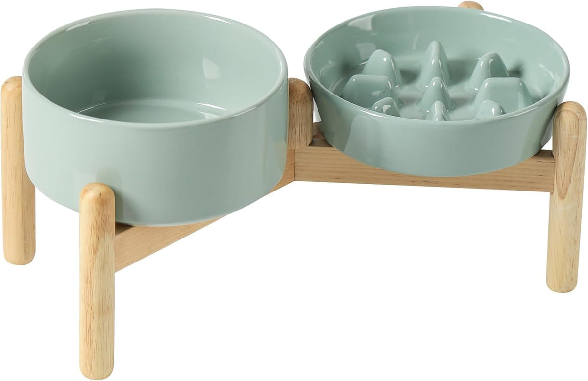 ceramic 0.9 cup raised slow feeder dog bowl shown in use