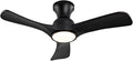 Gaizw 36 Inch Black Ceiling Fans