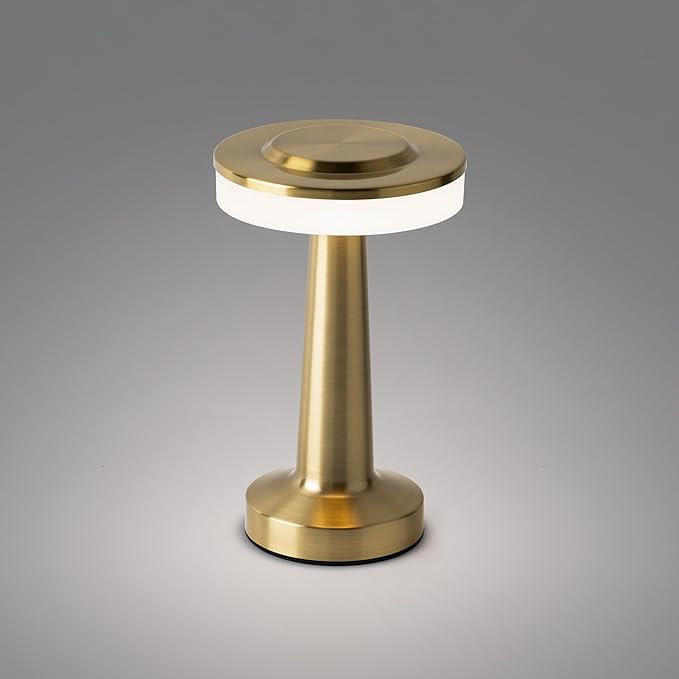 Radiance LED Cordless USB-C Re-Chargeable Desk Lamp, 5200mAh Battery Operated