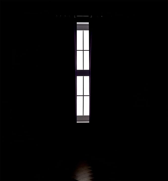 MIUCO 2 Panels Room Darkening Thermal Insulated Grommet Window Blackout Curtains