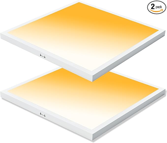 Mcacggo 2x2 LED Flat Panel Light Surface Mount, 40W-30W-20W & 3000K-4000K-5000K (2 Pack)