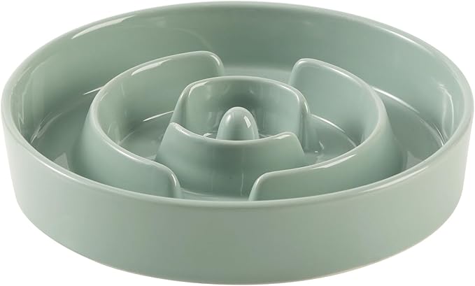 Ceramic 3.2 Cup Slow Feeder Dog Bowl