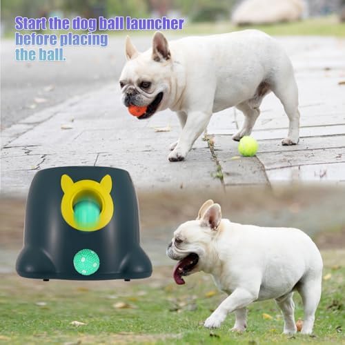 Automatic Ball Launcher for Dogs, Dog Fetch Ball Thrower Launcher, 3 Adjustable Distances, Interactive Pet Self Playing for Small Dogs and Puppies with 10 Balls (2 inches)