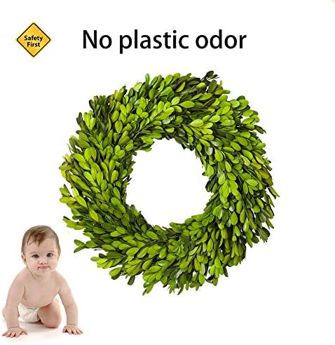 Preserved Boxwood Wreath, 11 Inches, Green Wreath for All Seasons Indoor Use Suits for Wedding, Christmas, Halloween, Valentine's Day
