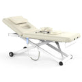 pouseayar Heavy Duty Electric Massage Table, Electric Lift and Electric