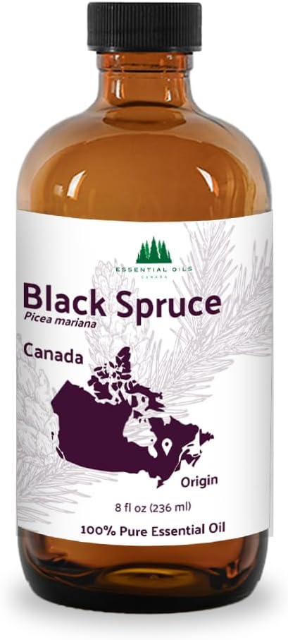 Organic Black Spruce Essential Oil from Canada