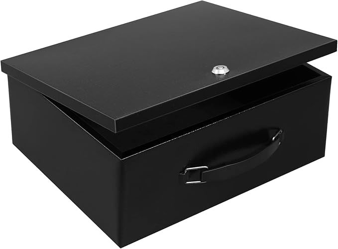 Dalmbox Portable Metal Safe Box