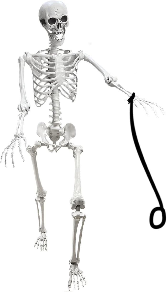 Lodou 5.4Ft Posable Life Size Human Skeleton for Halloween Decoration