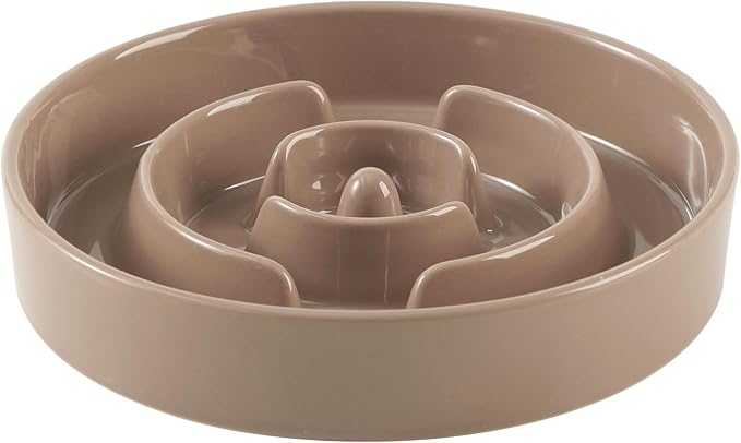 Ceramic 3.2 Cup Slow Feeder Dog Bowl