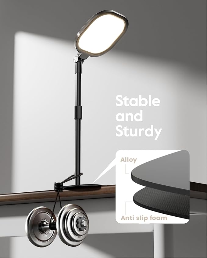 Video Conference Lighting for Zoom Meeting, Ring Light for Desk