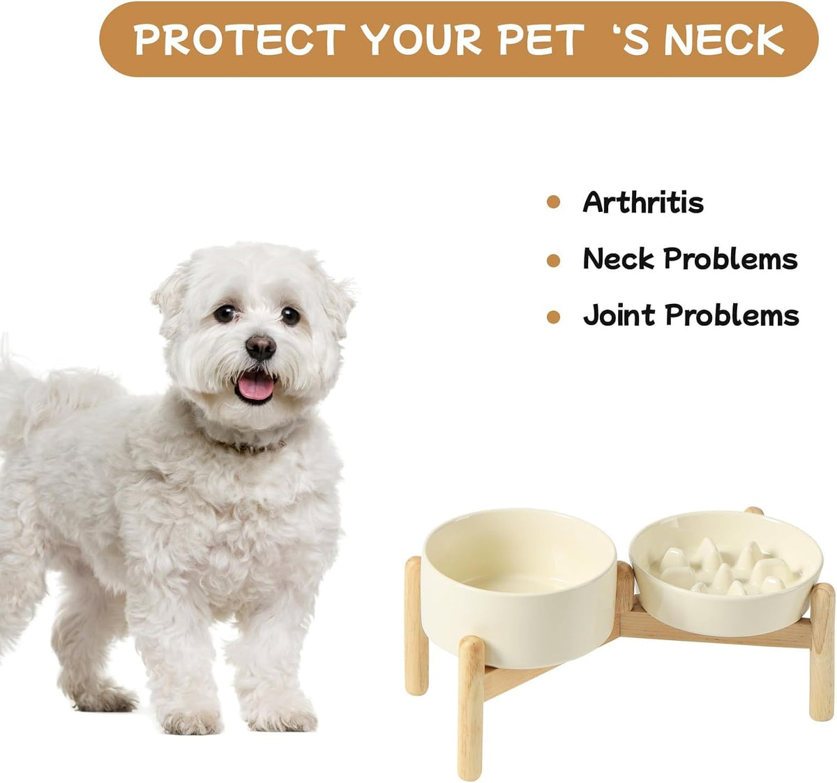 ceramic 0.9 cup raised slow feeder dog bowl, front angle view