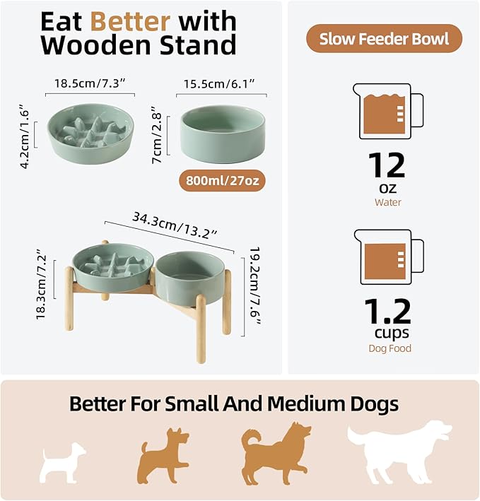 Ceramic 1.2 Cup Raised Slow Feeder Dog Bowl Set, Elevated 6.1inch Bowl and