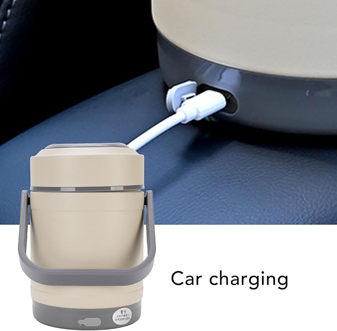 AYNEFY Electric Lunch Box, 2L Stainless Steel Portable Electric Food Warmer