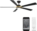 Rotary Indoor and Outdoor 5-Blade 65in Smart Home Ceiling Fan in Matte Black