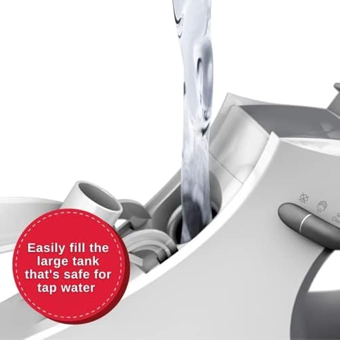SINGER SteamCraft Steam Iron | Steamer