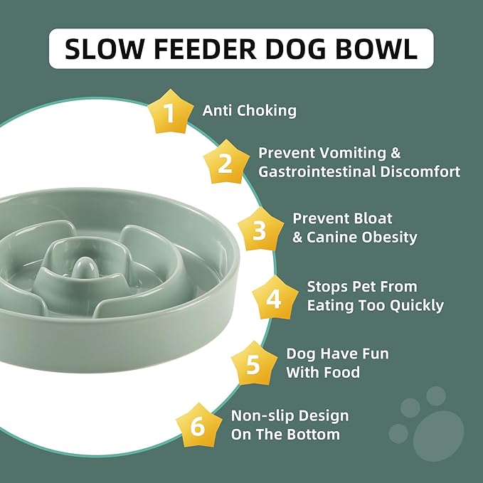 Ceramic 3.2 Cup Slow Feeder Dog Bowl