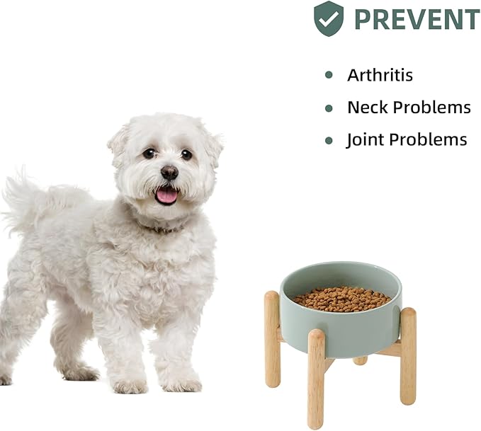 Ceramic 6.1inch Raised Dog Bowl