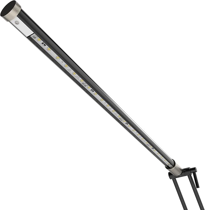 Cocoweb High Powered, LED Floor Lamp