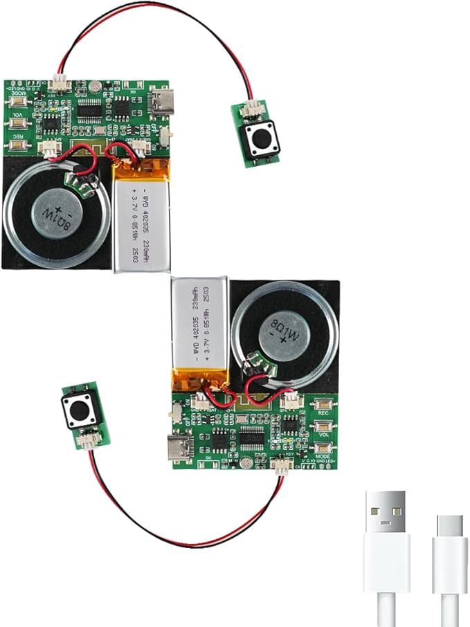 Bluetooth & MIC Recording Audio Sound Module, 8MB Voice Chips