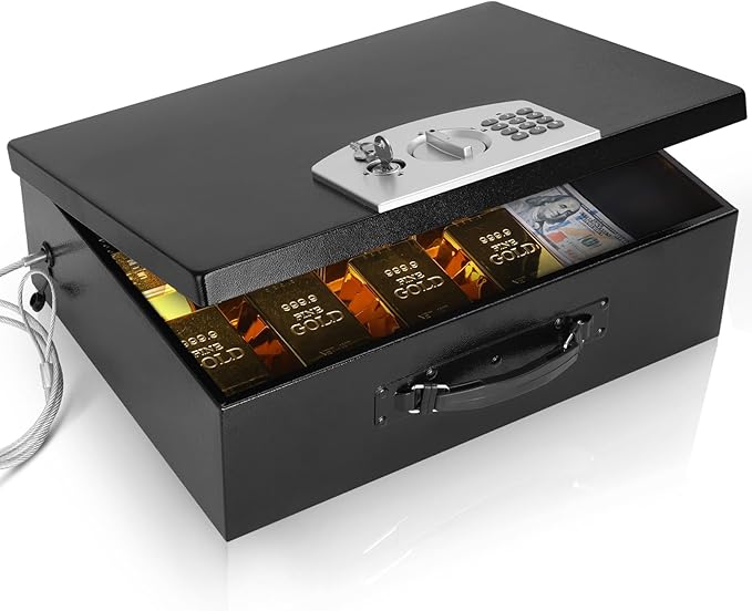 Dalmbox Portable Metal Safe Box