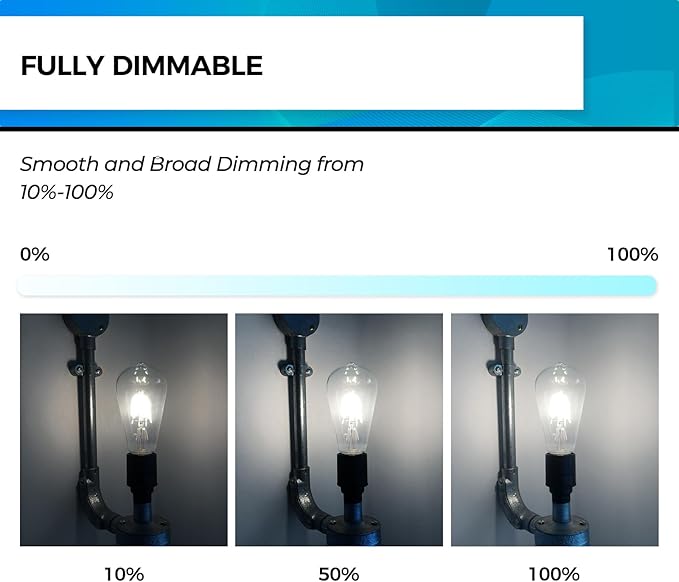 Hizashi Vintage LED Light Bulb Dimmable, 6W Equivalent 60W, E26 Base Led Edison (18 Pack)