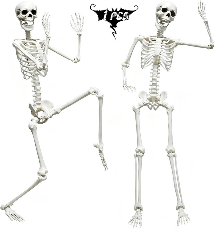5.9FT Skeleton Halloween Full Size, Life Size Skeleton with Posable Joints