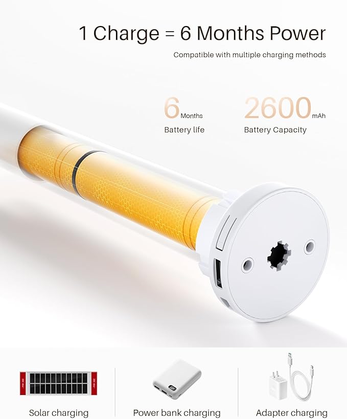 Smart Zebra Blinds for Windows, Alexa Motorized Blinds