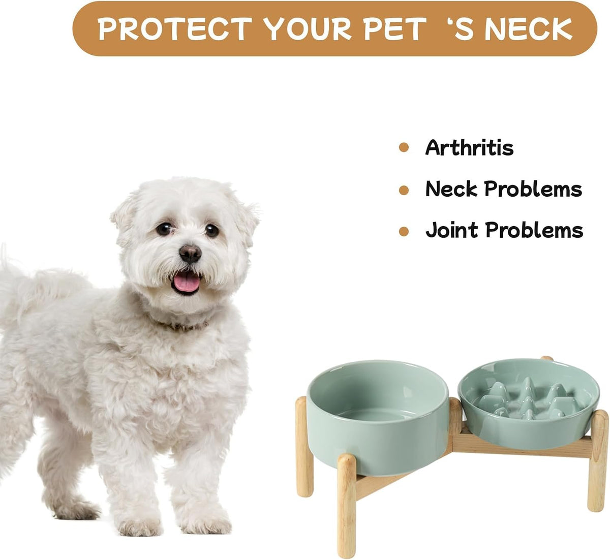 ceramic 0.9 cup raised slow feeder dog bowl, front angle view