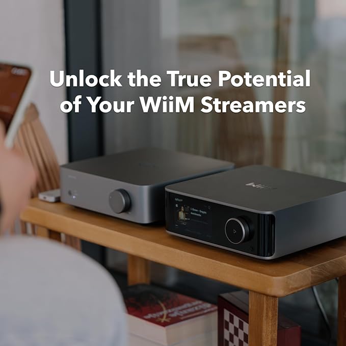 WiiM Vibelink Amp | 100W Power Amplifier