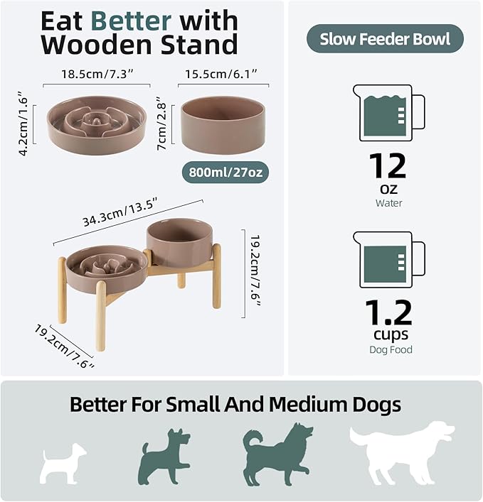 Ceramic 1.2 Cup Raised Slow Feeder Dog Bowl Set, Elevated 6.1inch Bowl and