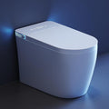 Smart Toilet with Bidet Built in, Bidet Toilet with Heated Seat and Night Light