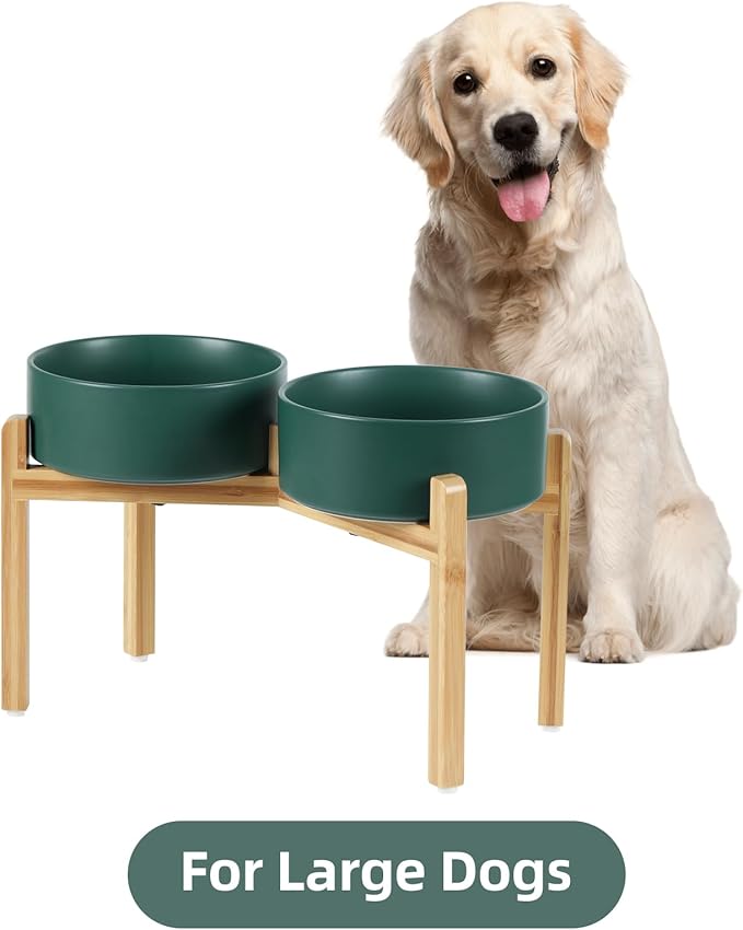 Ceramic Raised Double Bowls Set