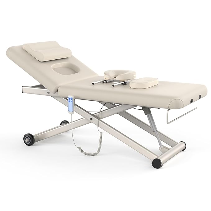Heavy Duty Electric Massage Table, Electric Lift and Electric Backrest 2 Motor