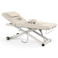 Heavy Duty Electric Massage Table, Electric Lift and Electric Backrest 2 Motor