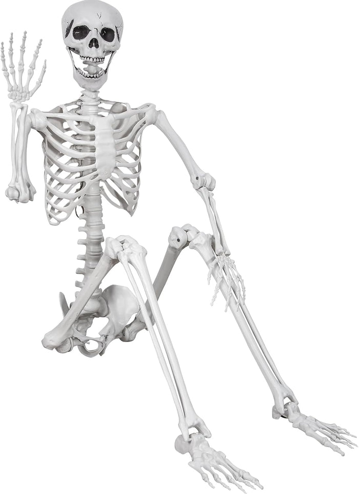 5.9ft Halloween Skeleton, Realistic Life Size Skeleton with Movable Joints for Halloween Party Haunted House Outdoor Decoration