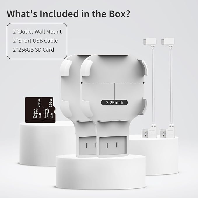 256GB MicroSD Card & Wall Mount (2 Pack)