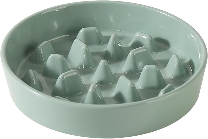 Ceramic 3.2 Cup Dog Bowl Slow Feeder, 9.5 inch Slow Pet Food Dish
