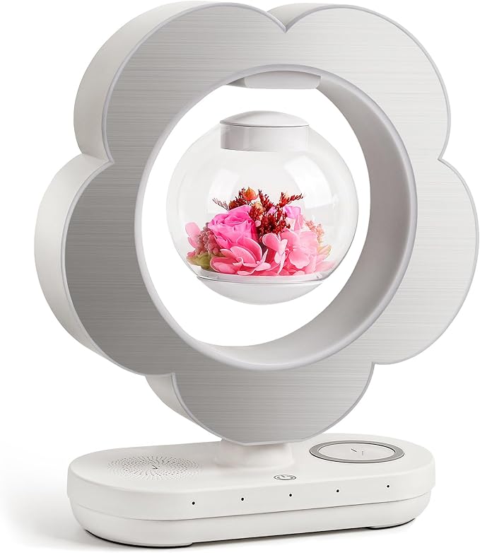 LoveLin Floral Preserved Rose Flowers