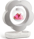 LoveLin Floral Preserved Rose Flowers