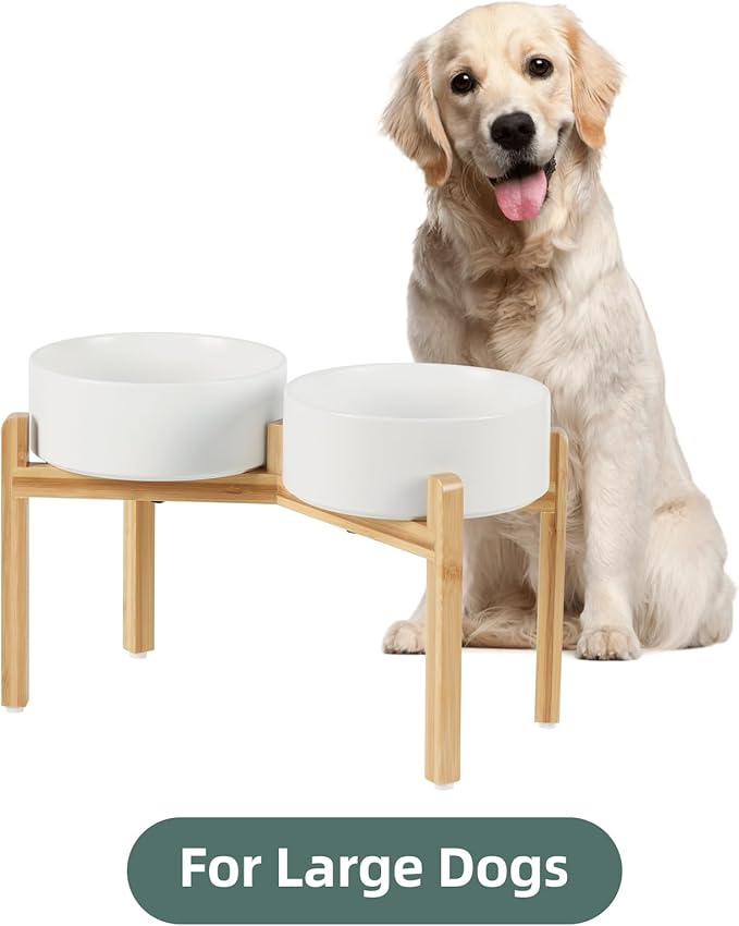 Ceramic Raised Double Bowls Set