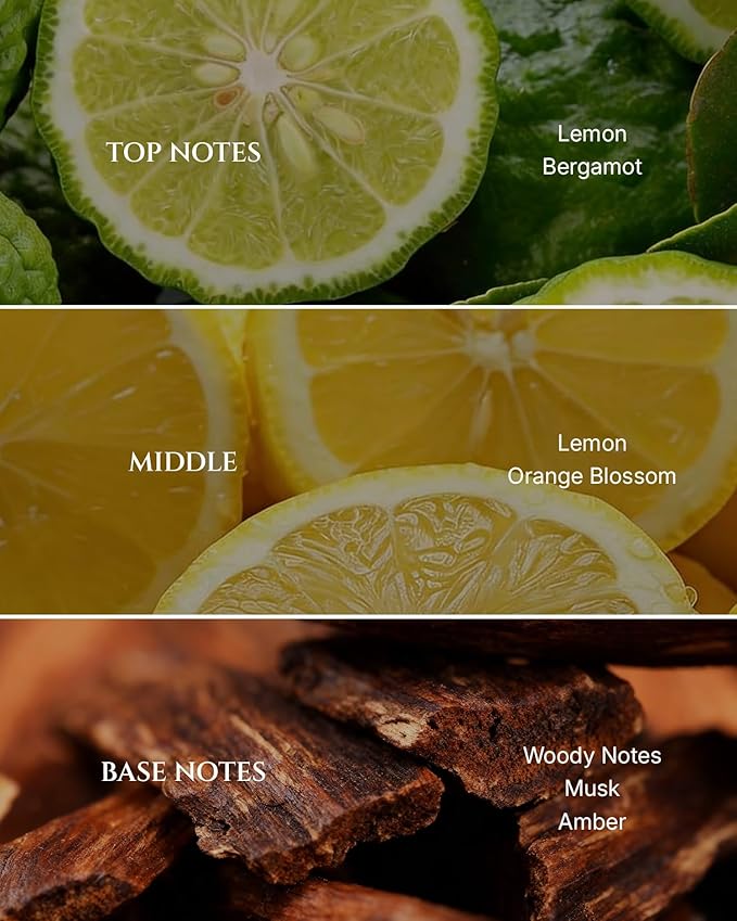 Aromadd Citrus Hotel Diffuser Oil Inspired by Luxury Hotel Scent, Essential Oils